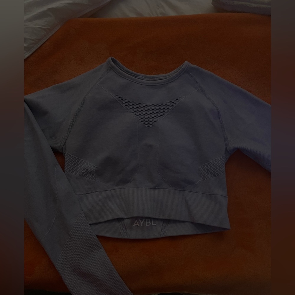 Light Blue small long sleeved (with thumb slit) cropped AYBL top.
